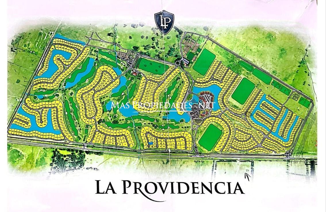 Imagen 6