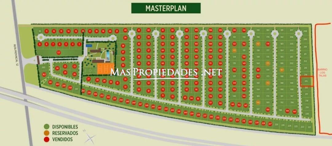 Imagen 12
