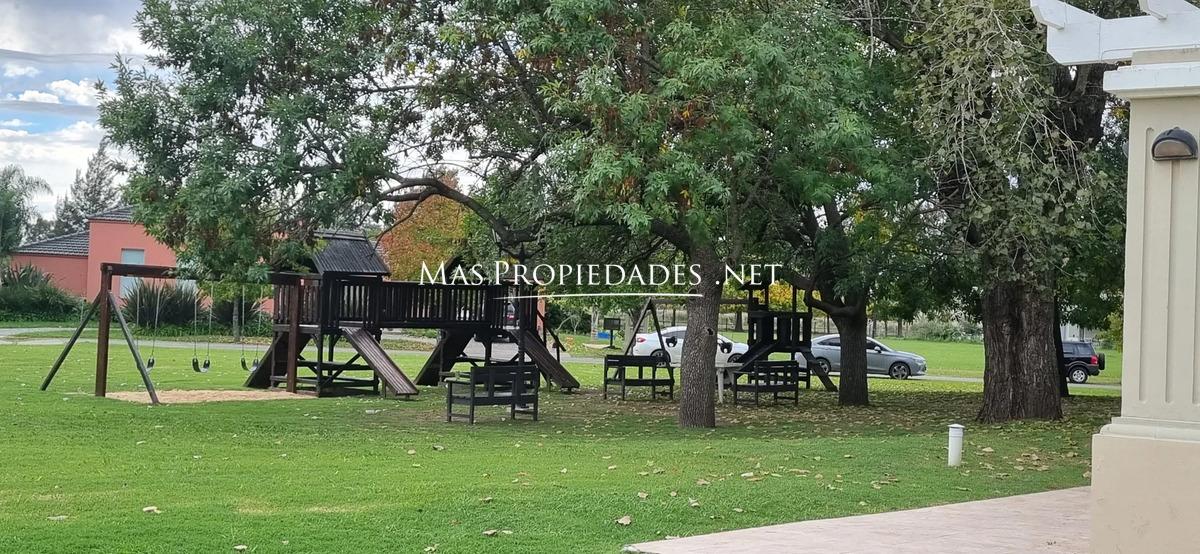 Imagen 7