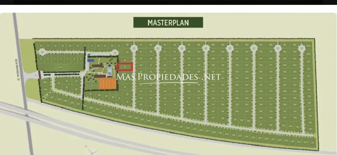 Imagen 6