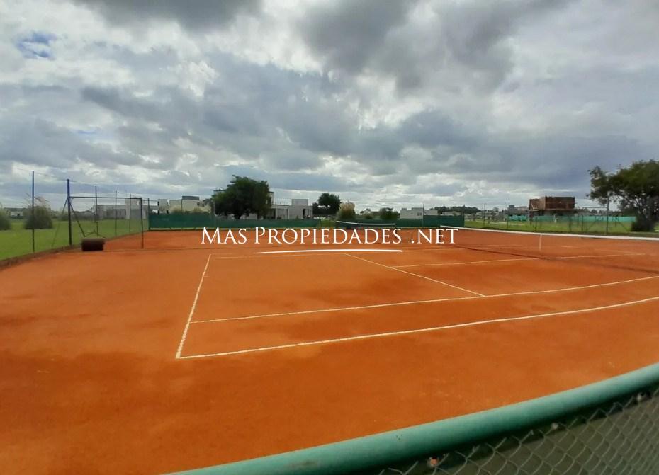 Imagen 20