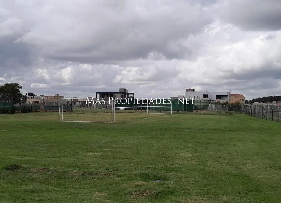 Imagen 22