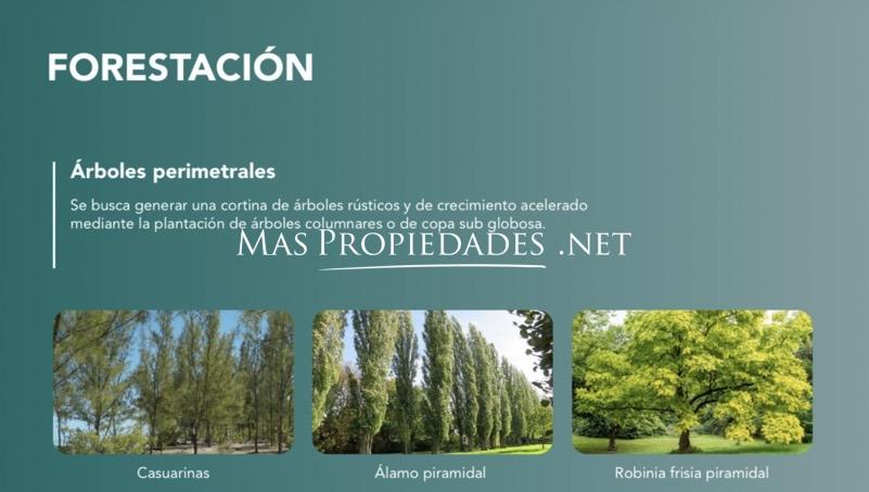 Imagen 7