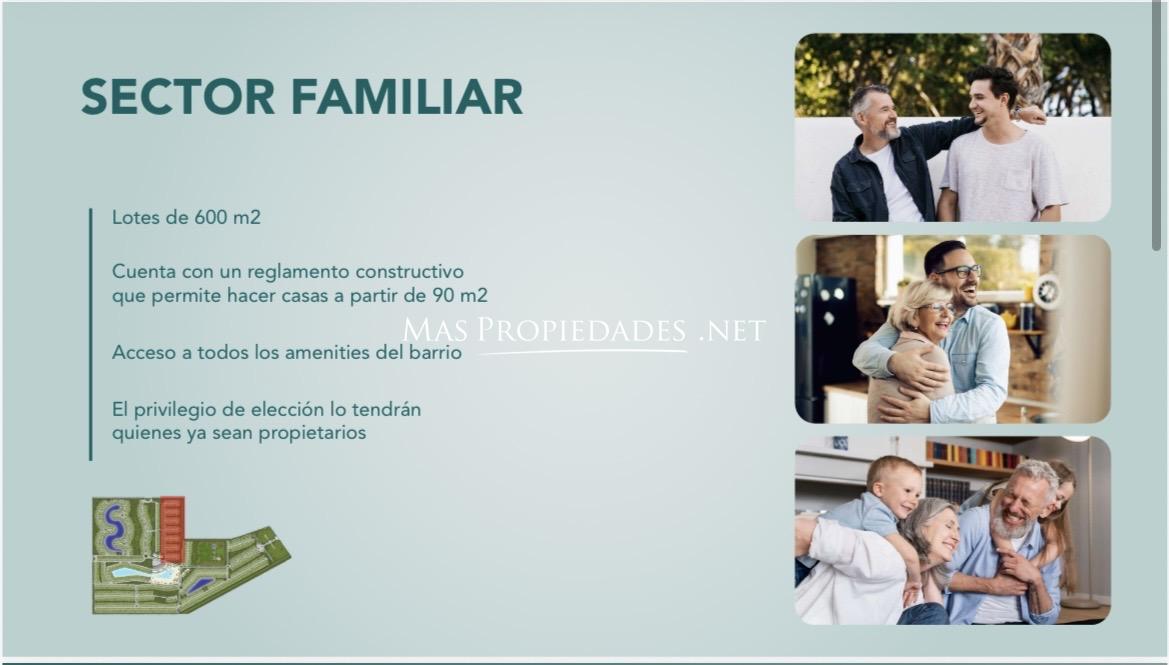 Imagen 10
