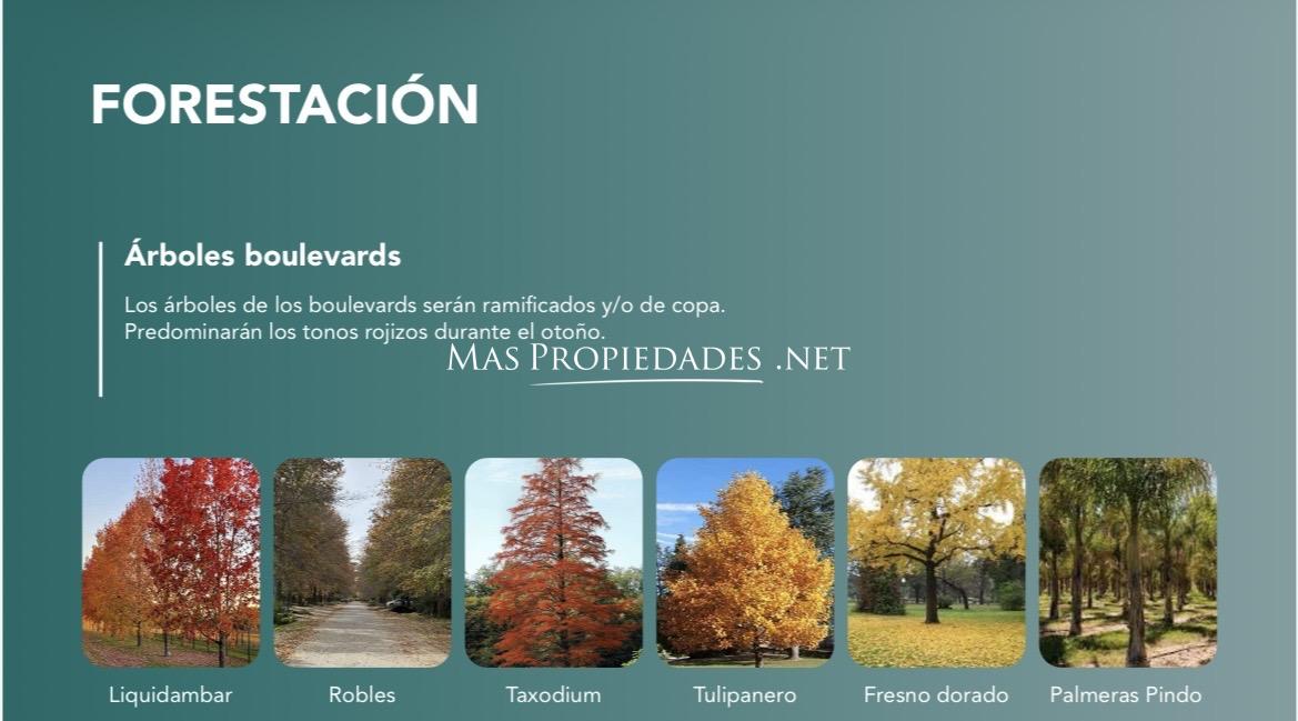 Imagen 8