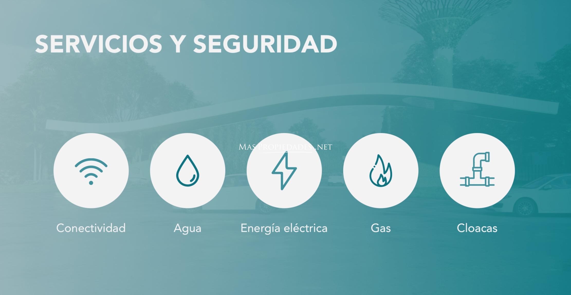Imagen 16