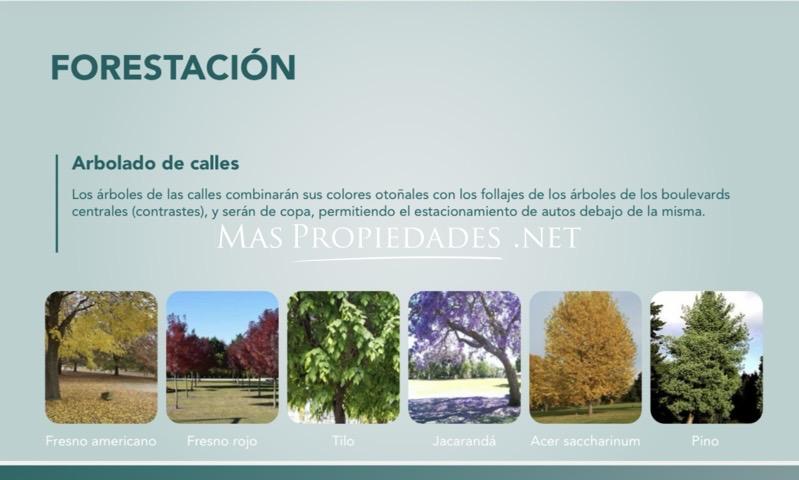 Imagen 12
