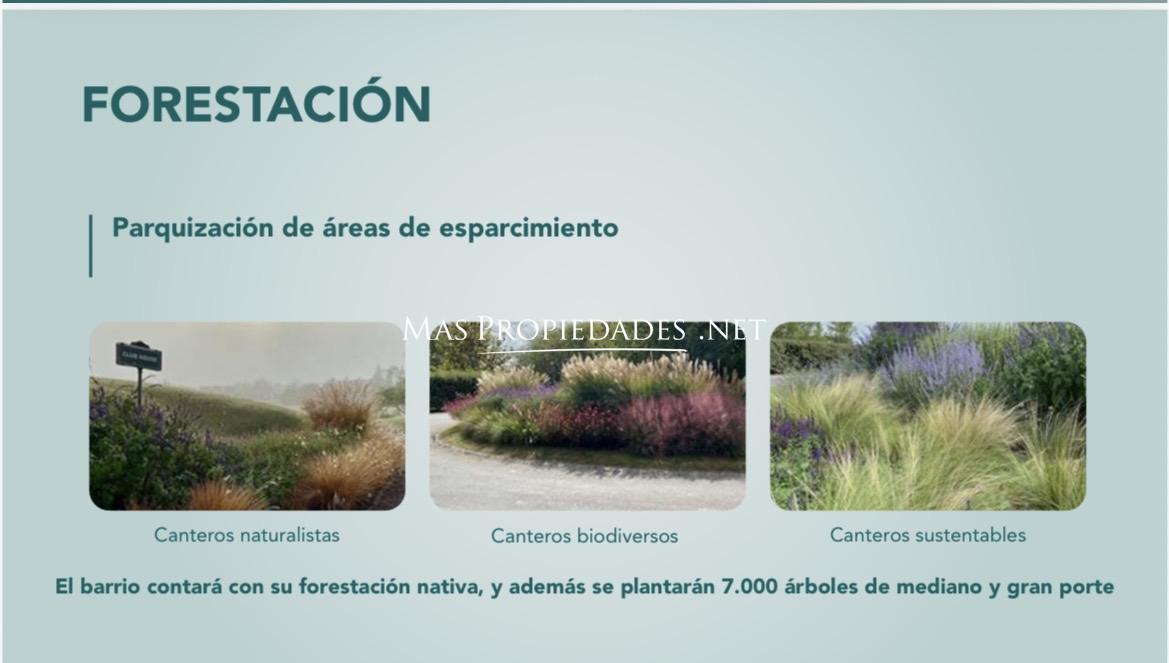 Imagen 6