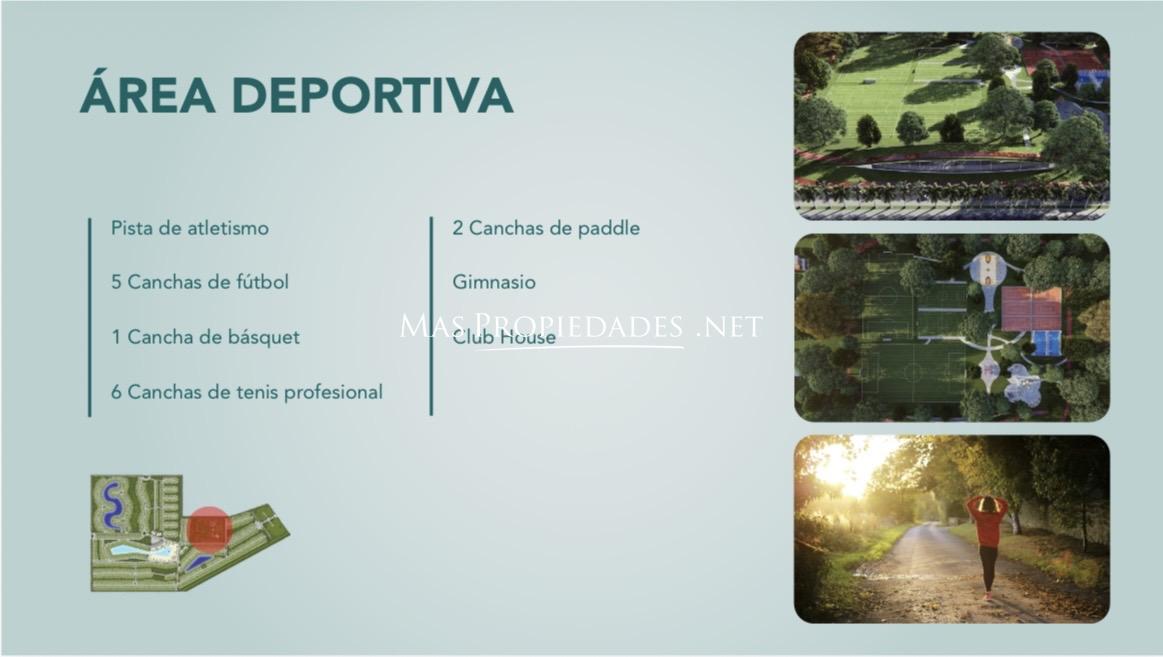 Imagen 14