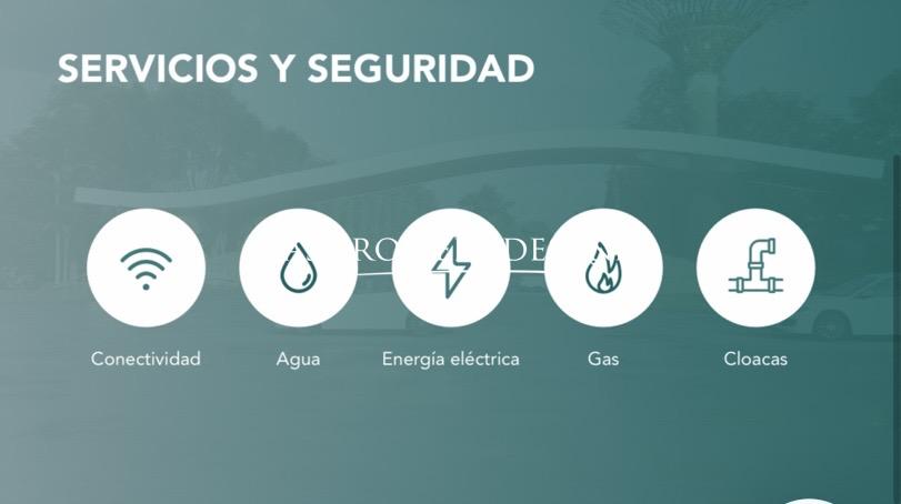 Imagen 11