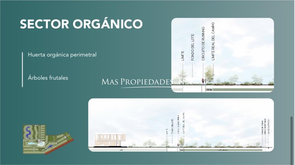 Imagen 12